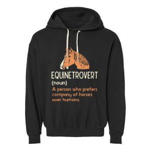 Fun Horse Lover Humor Funny Horse Definition Garment-Dyed Fleece Hoodie