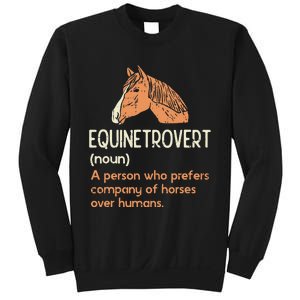 Fun Horse Lover Humor Funny Horse Definition Sweatshirt