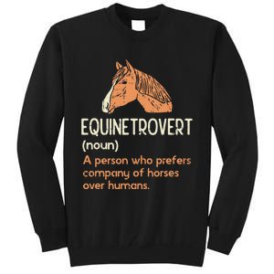 Fun Horse Lover Humor Funny Horse Definition Tall Sweatshirt