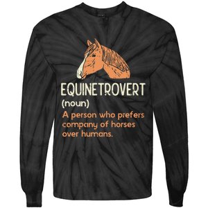 Fun Horse Lover Humor Funny Horse Definition Tie-Dye Long Sleeve Shirt