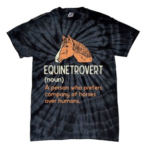 Fun Horse Lover Humor Funny Horse Definition Tie-Dye T-Shirt