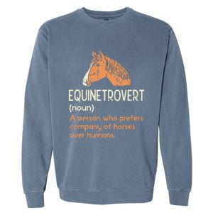 Fun Horse Lover Humor Funny Horse Definition Garment-Dyed Sweatshirt