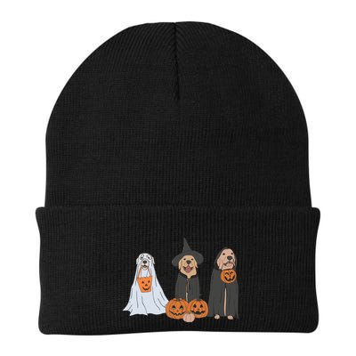 Funny Halloween Labrador Golden Retriever Ghost Dog Witch Beanie