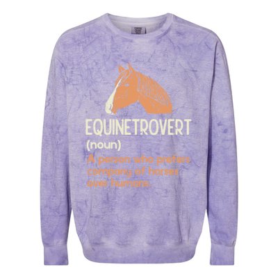 Fun Horse Lover Humor Funny Horse Definition Gift Colorblast Crewneck Sweatshirt