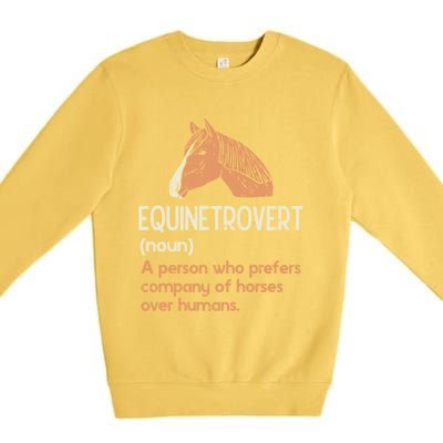 Fun Horse Lover Humor Funny Horse Definition Gift Premium Crewneck Sweatshirt