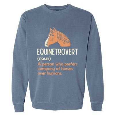 Fun Horse Lover Humor Funny Horse Definition Gift Garment-Dyed Sweatshirt