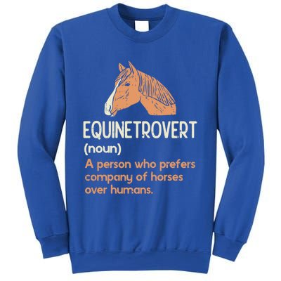 Fun Horse Lover Humor Funny Horse Definition Gift Sweatshirt