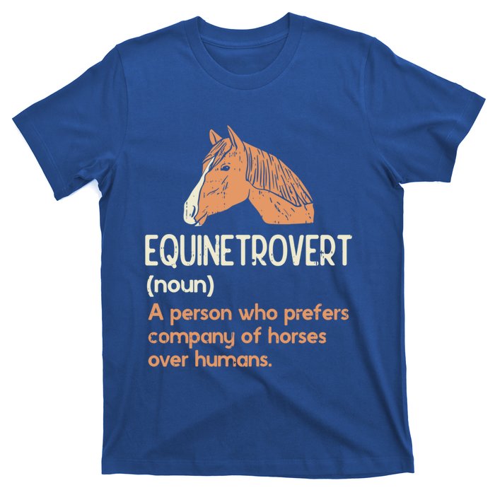 Fun Horse Lover Humor Funny Horse Definition Gift T-Shirt