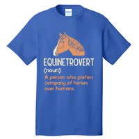 Fun Horse Lover Humor Funny Horse Definition Gift Tall T-Shirt