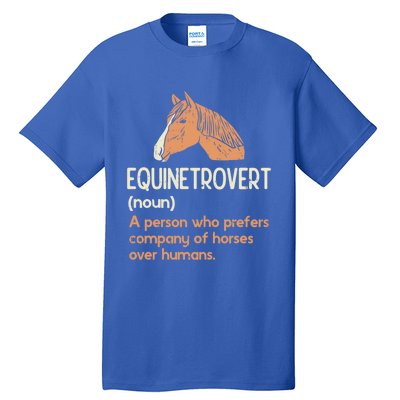 Fun Horse Lover Humor Funny Horse Definition Gift Tall T-Shirt