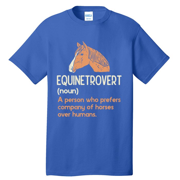 Fun Horse Lover Humor Funny Horse Definition Gift Tall T-Shirt