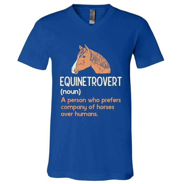 Fun Horse Lover Humor Funny Horse Definition Gift V-Neck T-Shirt