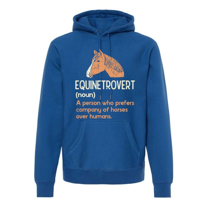 Fun Horse Lover Humor Funny Horse Definition Gift Premium Hoodie