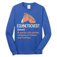 Fun Horse Lover Humor Funny Horse Definition Gift Tall Long Sleeve T-Shirt