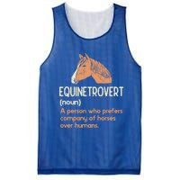 Fun Horse Lover Humor Funny Horse Definition Gift Mesh Reversible Basketball Jersey Tank