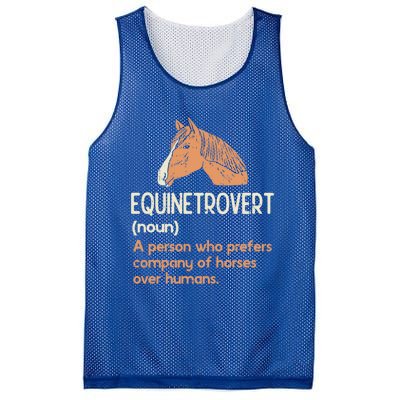 Fun Horse Lover Humor Funny Horse Definition Gift Mesh Reversible Basketball Jersey Tank