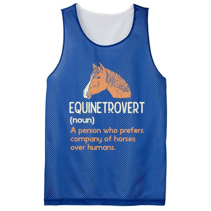 Fun Horse Lover Humor Funny Horse Definition Gift Mesh Reversible Basketball Jersey Tank