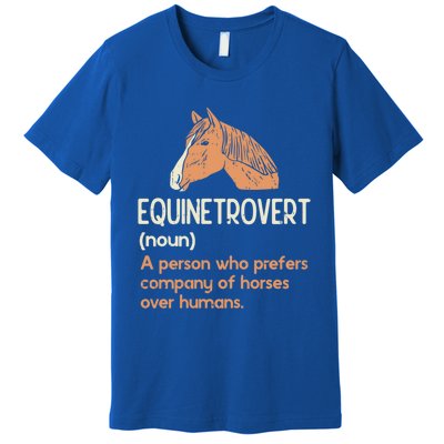 Fun Horse Lover Humor Funny Horse Definition Gift Premium T-Shirt