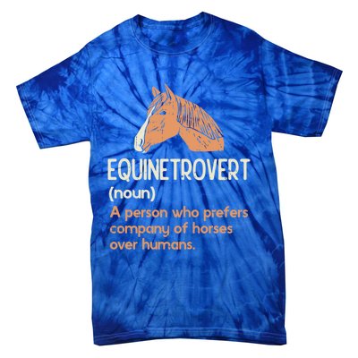 Fun Horse Lover Humor Funny Horse Definition Gift Tie-Dye T-Shirt