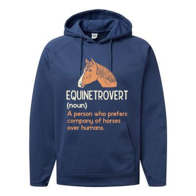 Fun Horse Lover Humor Funny Horse Definition Gift Performance Fleece Hoodie