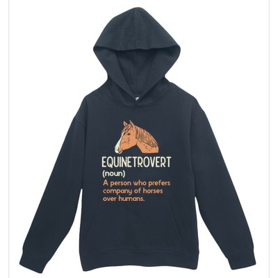 Fun Horse Lover Humor Funny Horse Definition Gift Urban Pullover Hoodie