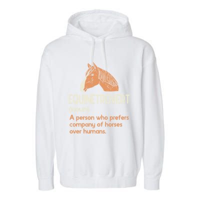 Fun Horse Lover Humor Funny Horse Definition Gift Garment-Dyed Fleece Hoodie