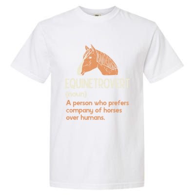 Fun Horse Lover Humor Funny Horse Definition Gift Garment-Dyed Heavyweight T-Shirt