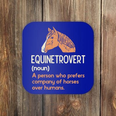 Fun Horse Lover Humor Funny Horse Definition Cute Gift Coaster