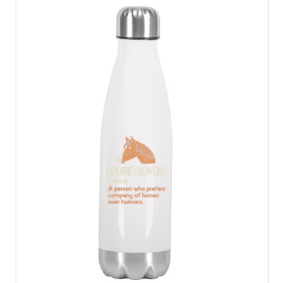 Fun Horse Lover Humor Funny Horse Definition Cute Gift Stainless Steel Insulated Water Bottle