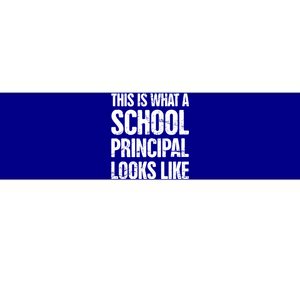 Funny Highschool Middle And Eletary School Principal Gift Bumper Sticker