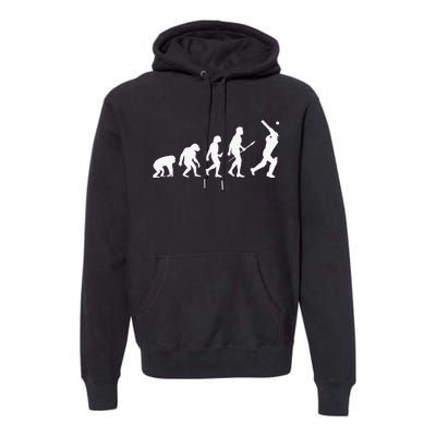 Funny History of Cricket Lover Gifts Evolution Of Cricket Premium Hoodie