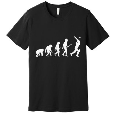 Funny History of Cricket Lover Gifts Evolution Of Cricket Premium T-Shirt