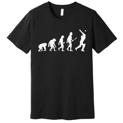 Funny History of Cricket Lover Gifts Evolution Of Cricket Premium T-Shirt