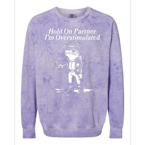 Funny Hold On Partner Im Overstimulated Western Cowboy Frog Toad Colorblast Crewneck Sweatshirt