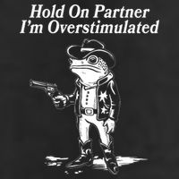 Funny Hold On Partner Im Overstimulated Western Cowboy Frog Toad 11oz C Handle Ceramic Mug