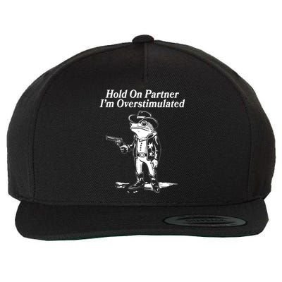 Funny Hold On Partner Im Overstimulated Western Cowboy Frog Toad Wool Snapback Cap