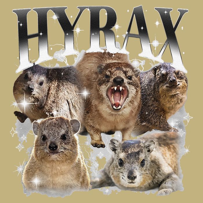 Funny Hyrax Oddly Specific Meme Animal For Family T-Shirt