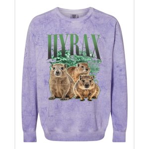 Funny Hyrax Oddly Specific Meme Animal For Family Colorblast Crewneck Sweatshirt