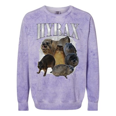 Funny Hyrax Oddly Specific Meme Animal For Family Colorblast Crewneck Sweatshirt