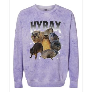 Funny Hyrax Oddly Specific Meme Animal For Family Colorblast Crewneck Sweatshirt