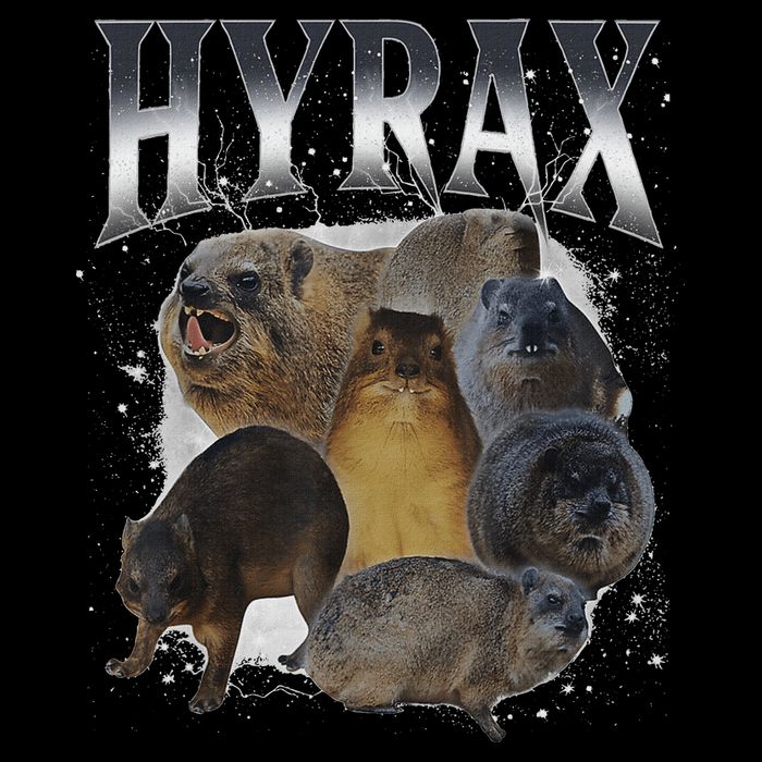 Funny Hyrax Oddly Specific Meme Animal 16 in Basic Backpack