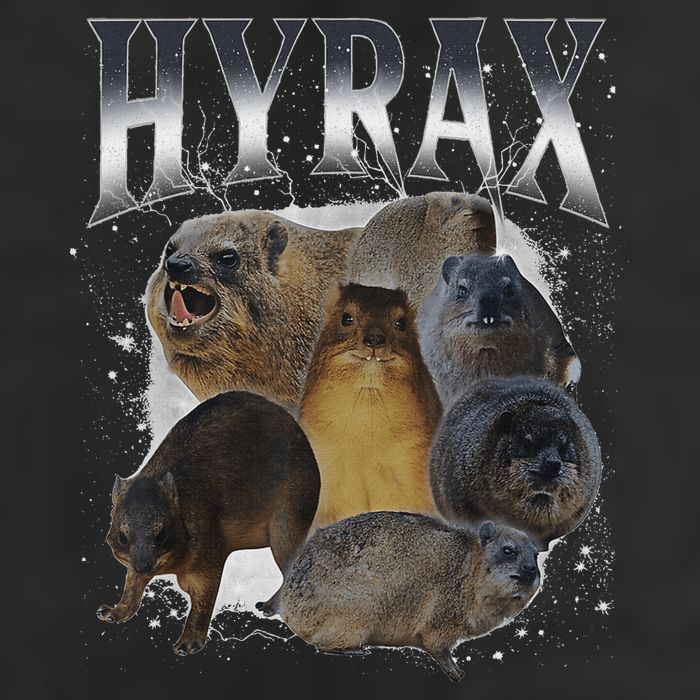 Funny Hyrax Oddly Specific Meme Animal Hat