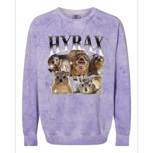 Funny Hyrax Oddly Specific Meme Animal For Family Colorblast Crewneck Sweatshirt