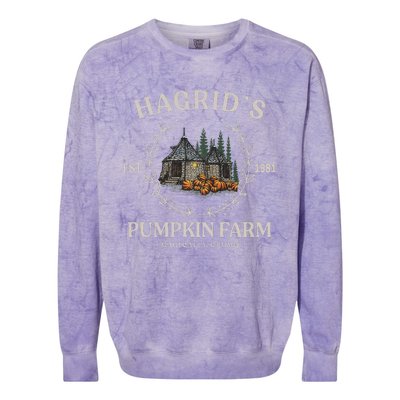 Fall Hagrids Pumpkin Farm Patch Autumn Pumpkin Garden Colorblast Crewneck Sweatshirt