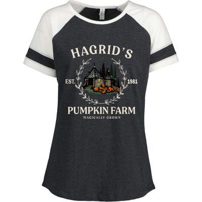 Fall HagridS Pumpkin Farm Patch Autumn Pumpkin Garden Enza Ladies Jersey Colorblock Tee