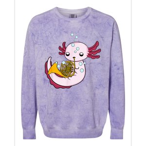 French Horn Player Kids Axolotl Big Band French Horn Colorblast Crewneck Sweatshirt