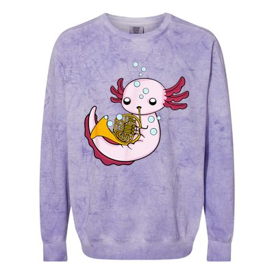 French Horn Player Kids Axolotl Big Band French Horn Colorblast Crewneck Sweatshirt