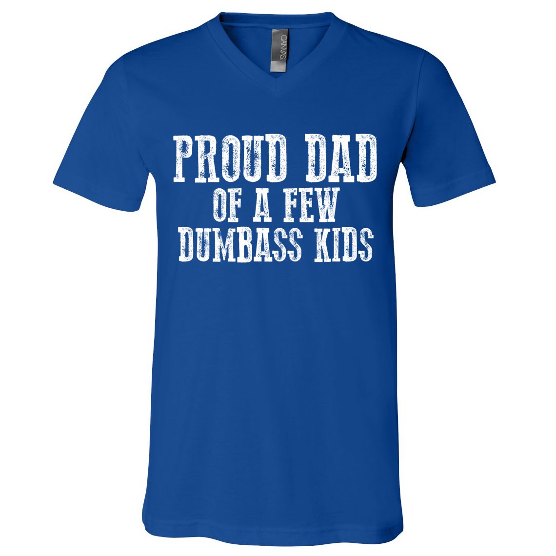 Funny Honest "Proud Dad Of A Few Dumbass " Gift V-Neck T-Shirt