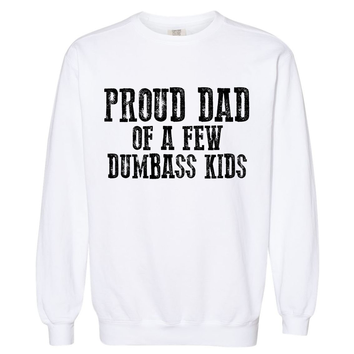 Funny Honest "Proud Dad Of A Few Dumbass " Gift Garment-Dyed Sweatshirt