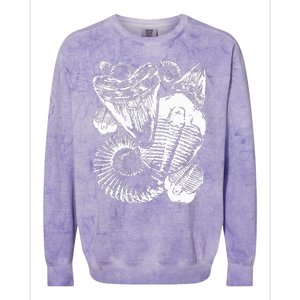 Fossil Hunter Paleontologist Fossil Hunting Colorblast Crewneck Sweatshirt